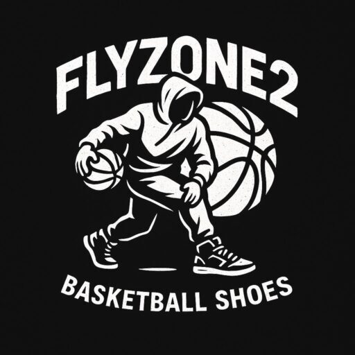 Flyzone2